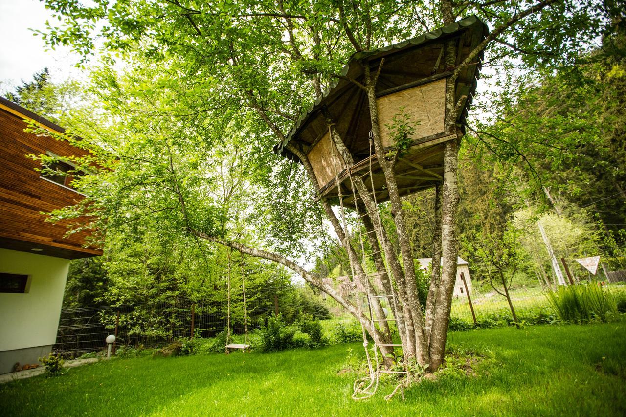 Cabana Jasmin Băile Chirui Exterior foto
